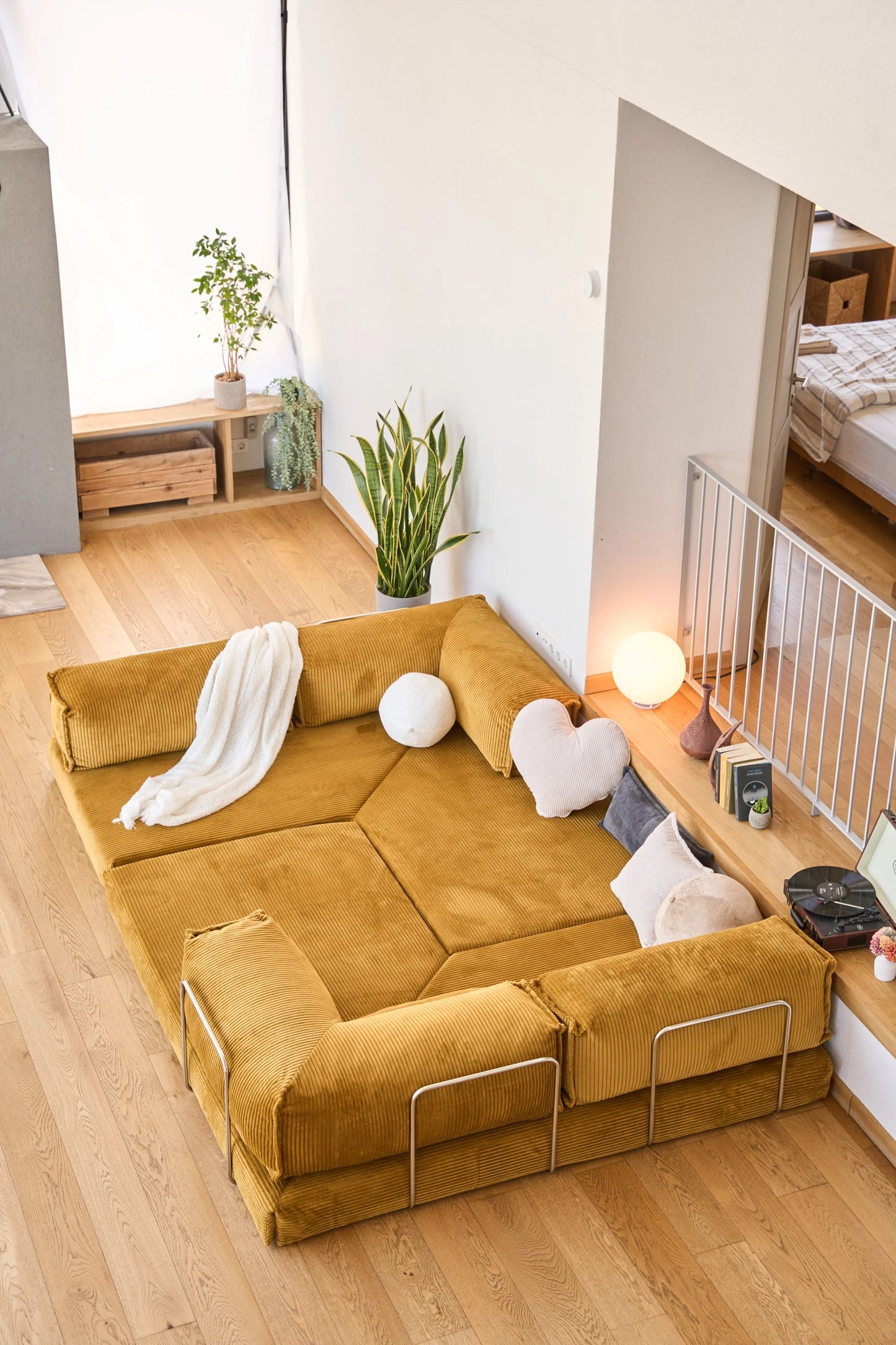Pluffy Canyon Mustard Yellow